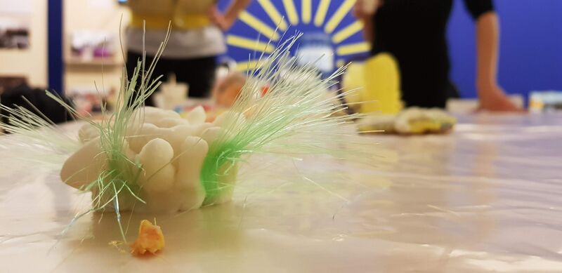 File:20181117 131844.jpg