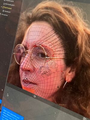 Application of the face filter on the face of one of the participants, Elvia Vasconcelos