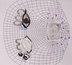 Face filter template designed during the event